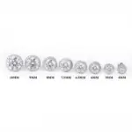 Moissanite Earrings - Image 7